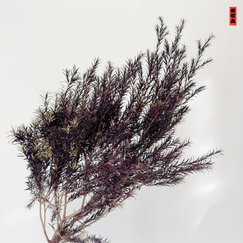 Букет от изсушени цветя, разновидност 22586134048, OPP опаковка, подходящ за подарък