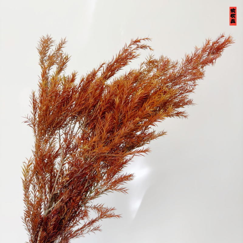 Букет от изсушени цветя, разновидност 22586134048, OPP опаковка, подходящ за подарък