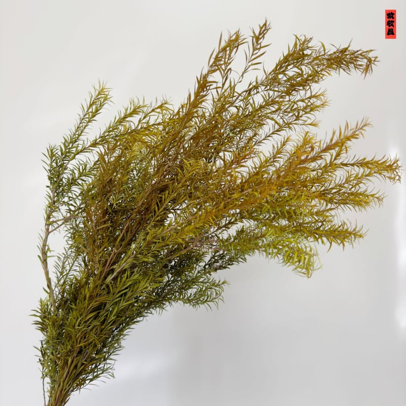 Букет от изсушени цветя, разновидност 22586134048, OPP опаковка, подходящ за подарък