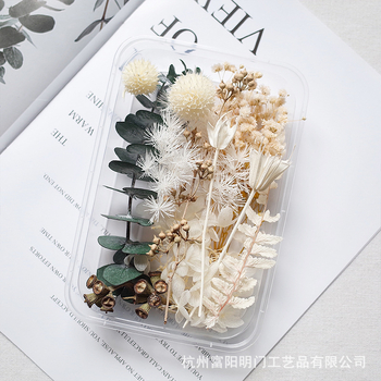 DIY set suhog cvijeća – mješavina suhih cvjetova i gypsophila, Mingmens
