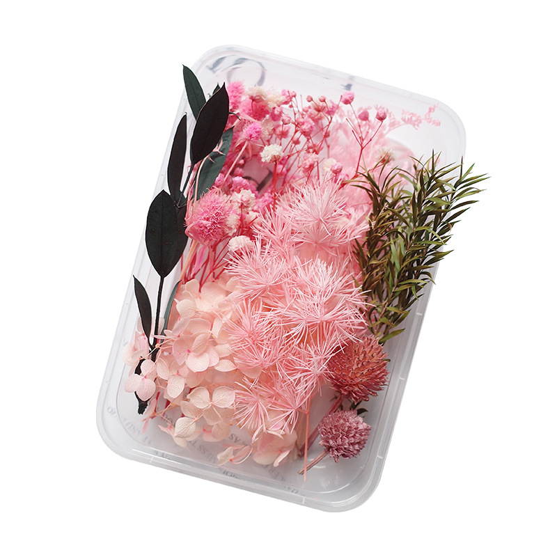 DIY set suhog cvijeća – mješavina suhih cvjetova i gypsophila, Mingmens