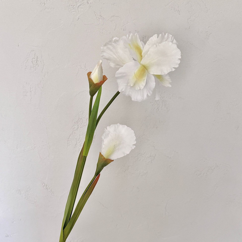 Satenasto iris cvijeće – umjetno za vjenčanja i kućnu dekoraciju, styling aranžman, varijanta 3444577, kartonsko pakiranje