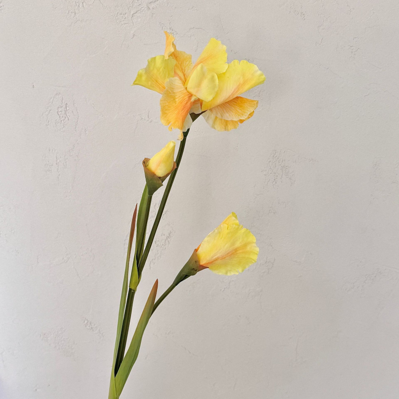 Satenasto iris cvijeće – umjetno za vjenčanja i kućnu dekoraciju, styling aranžman, varijanta 3444577, kartonsko pakiranje
