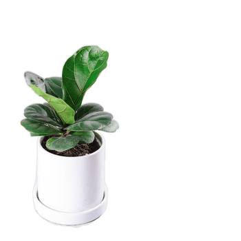 Марля завеса за фотография, преносим фонов плат за настолен студиен реквизит за компактни сцени