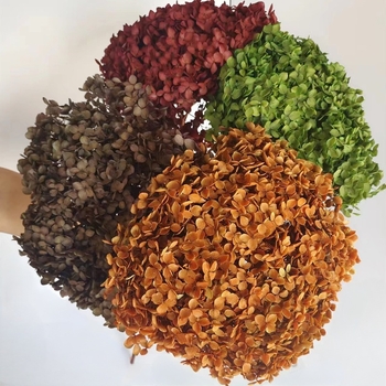 Един стрък вечни цветя - ръчна изработка, суви цветя за домашна украса, марка Yunnan Runhong, артикул 2024, подходящ подарък