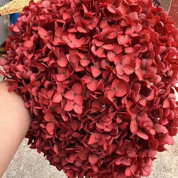 Един стрък вечни цветя - ръчна изработка, суви цветя за домашна украса, марка Yunnan Runhong, артикул 2024, подходящ подарък