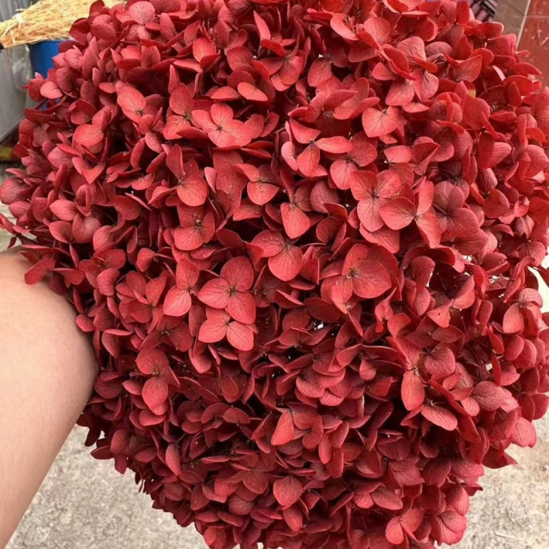 Един стрък вечни цветя - ръчна изработка, суви цветя за домашна украса, марка Yunnan Runhong, артикул 2024, подходящ подарък