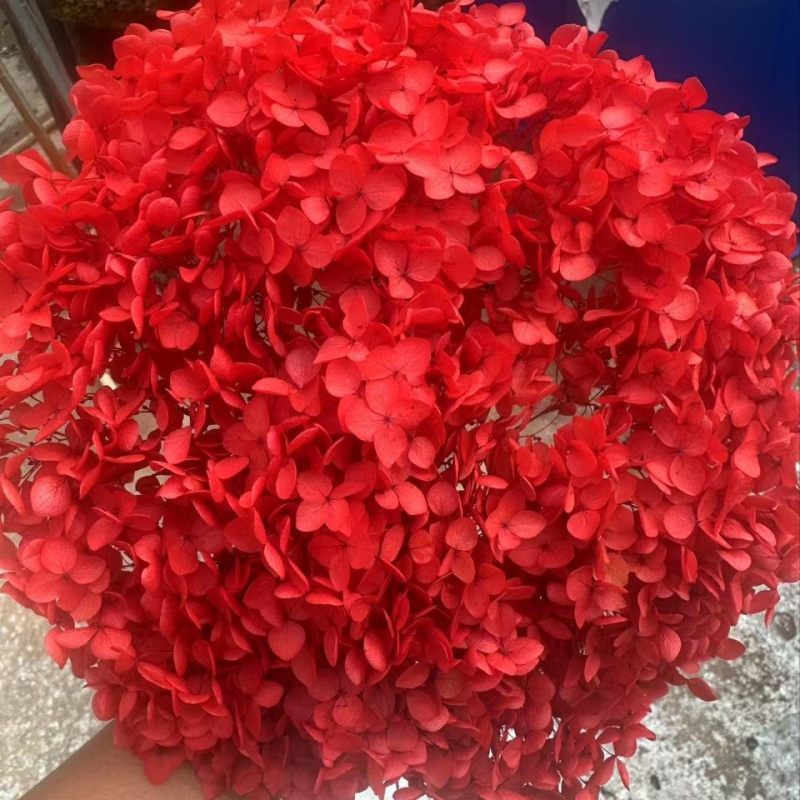 Един стрък вечни цветя - ръчна изработка, суви цветя за домашна украса, марка Yunnan Runhong, артикул 2024, подходящ подарък