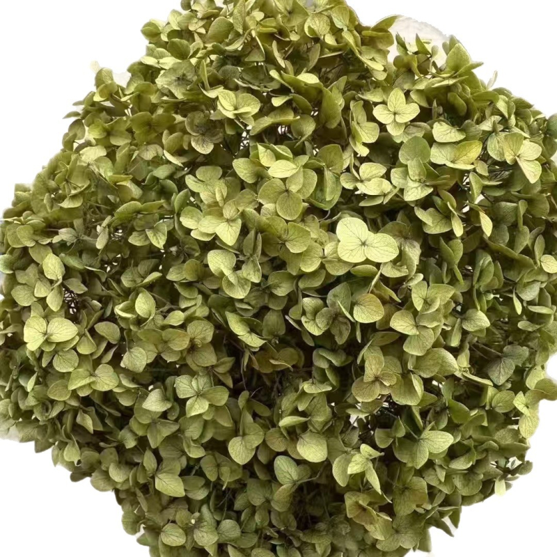 Един стрък вечни цветя - ръчна изработка, суви цветя за домашна украса, марка Yunnan Runhong, артикул 2024, подходящ подарък