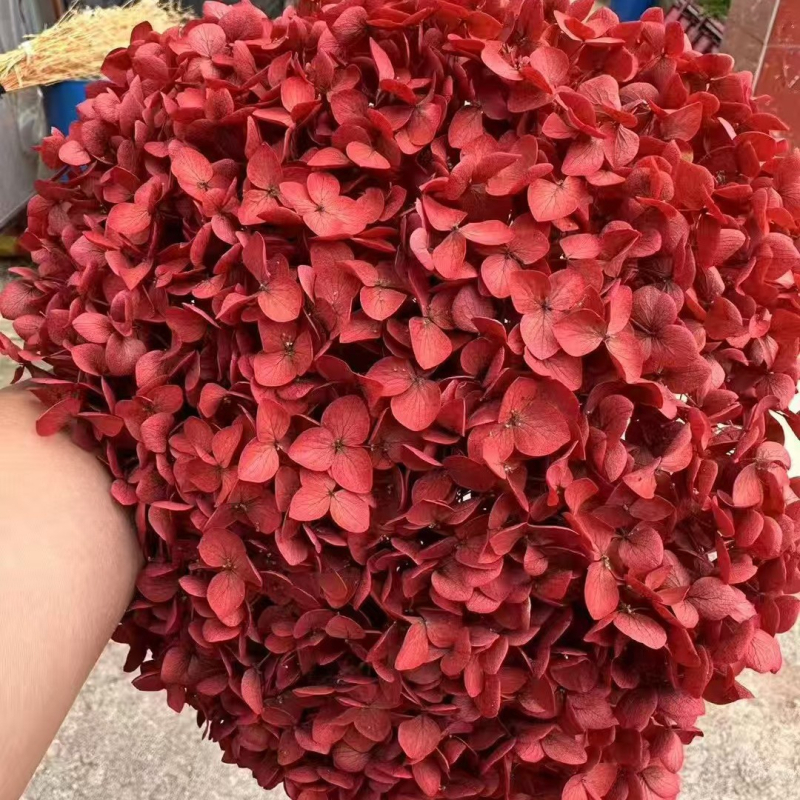 Един стрък вечни цветя - ръчна изработка, суви цветя за домашна украса, марка Yunnan Runhong, артикул 2024, подходящ подарък