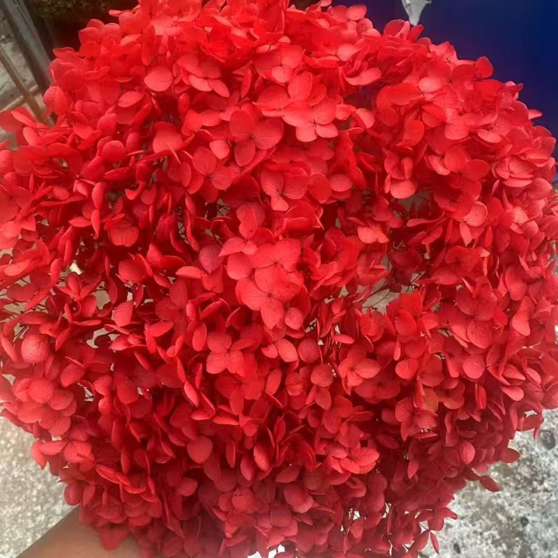 Един стрък вечни цветя - ръчна изработка, суви цветя за домашна украса, марка Yunnan Runhong, артикул 2024, подходящ подарък