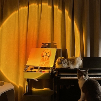 RGB mini saulrieta lampai ar USB barošanu, attālinātu vadību, galda atmosfēras apgaismojums fotografēšanai un tiešraidei