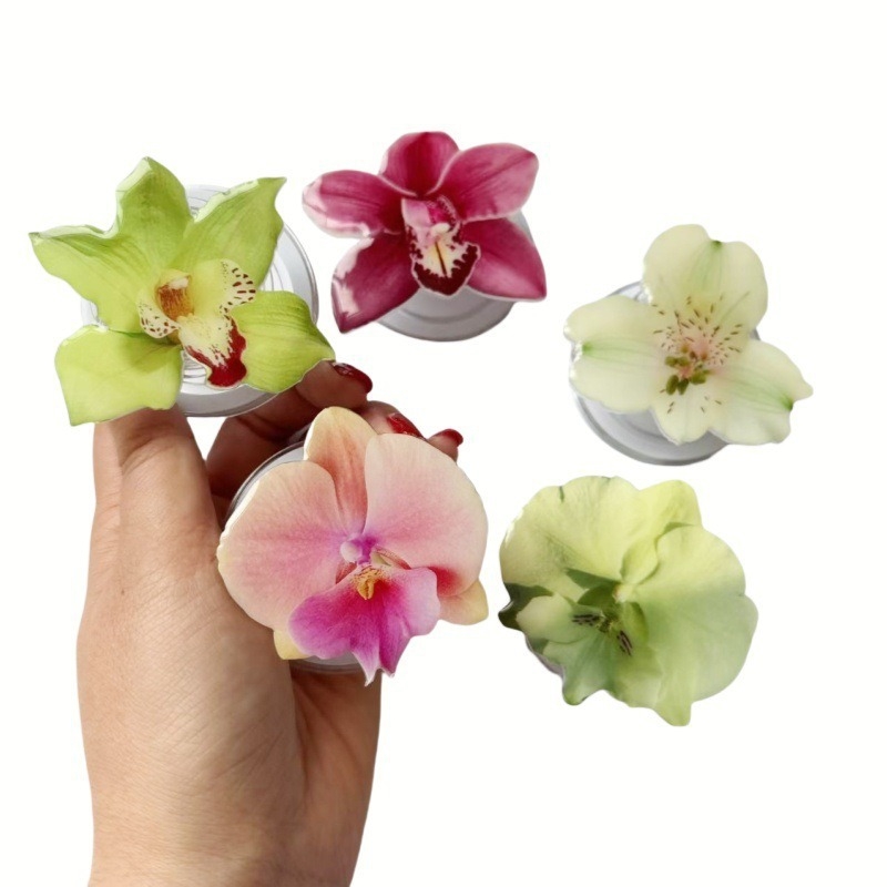 Βάση γραφείου για κινητό, ακρυλικό υλικό, στυλ καρτούν, μάρκα Slightly Blue, προσαρμόσιμη