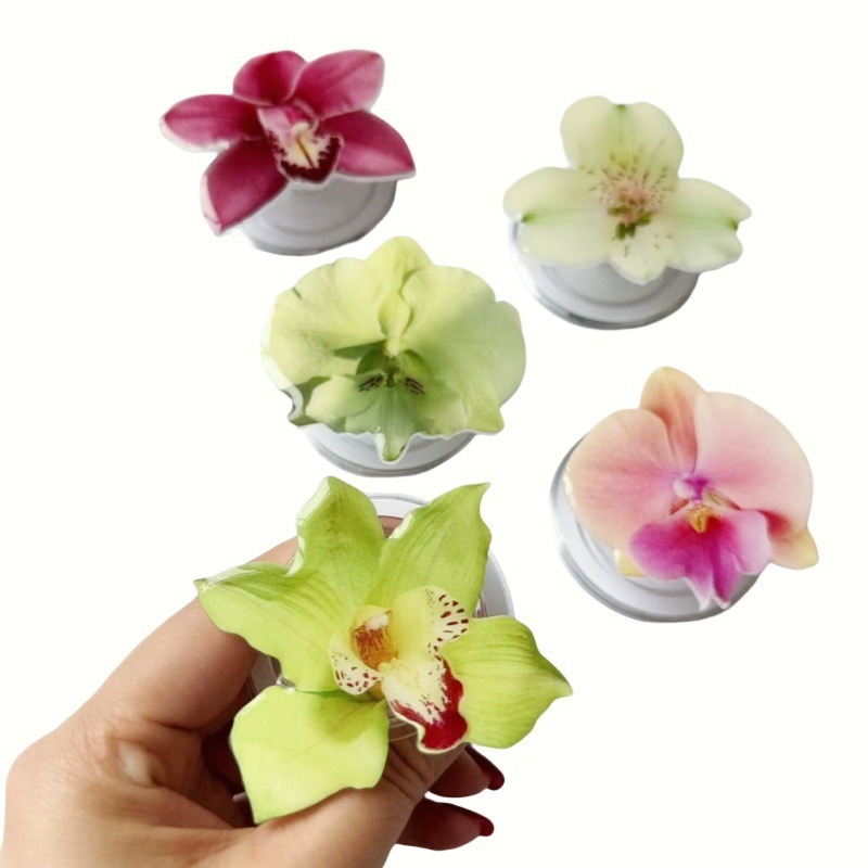 Βάση γραφείου για κινητό, ακρυλικό υλικό, στυλ καρτούν, μάρκα Slightly Blue, προσαρμόσιμη