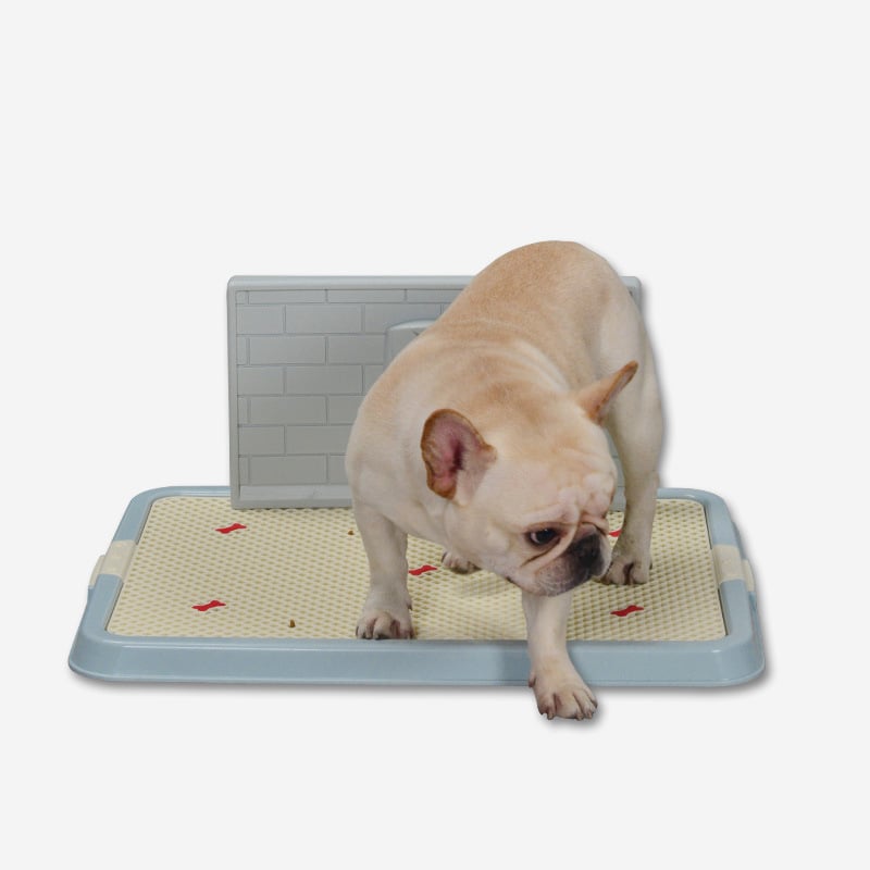 Troublemaker πλαστική τουαλέτα για σκύλους με πλέγμα τοίχου