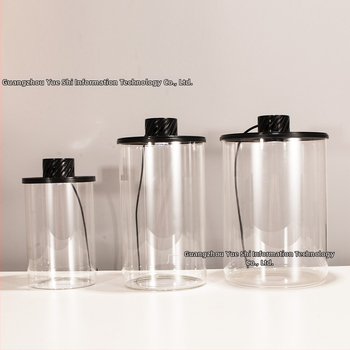 Augstas borosilikāta stikla ekoloģiska pudele mikro ainavai ar USB augu lampu – DIY materiāls