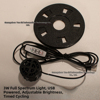 Augstas borosilikāta stikla ekoloģiska pudele mikro ainavai ar USB augu lampu – DIY materiāls