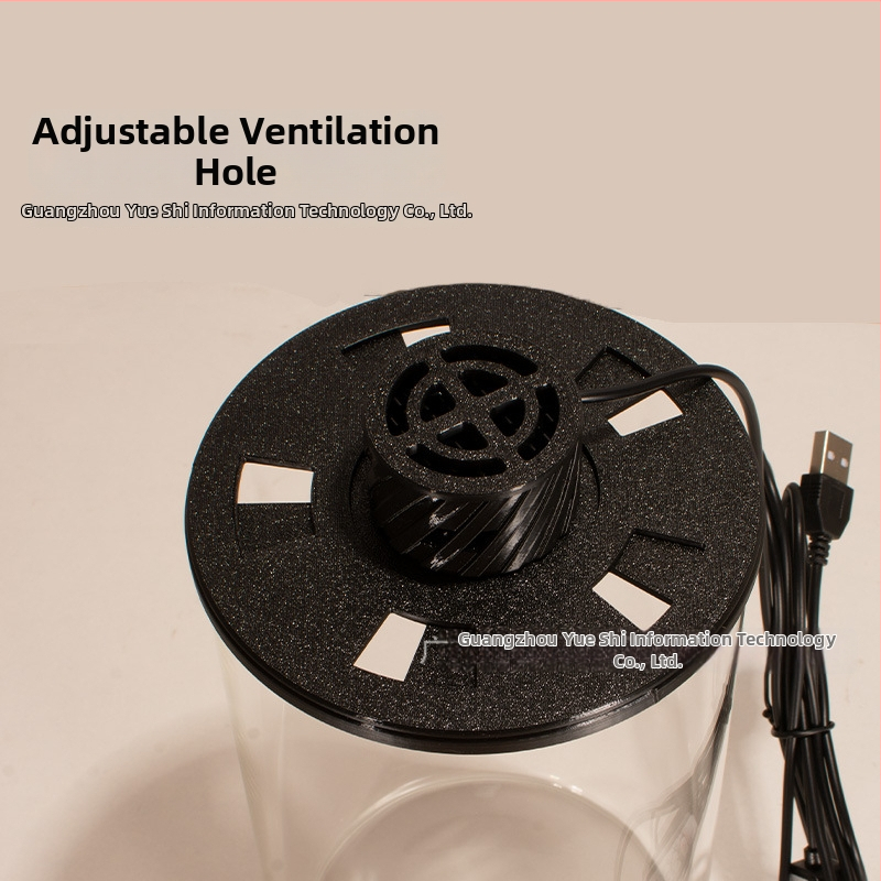 Augstas borosilikāta stikla ekoloģiska pudele mikro ainavai ar USB augu lampu – DIY materiāls