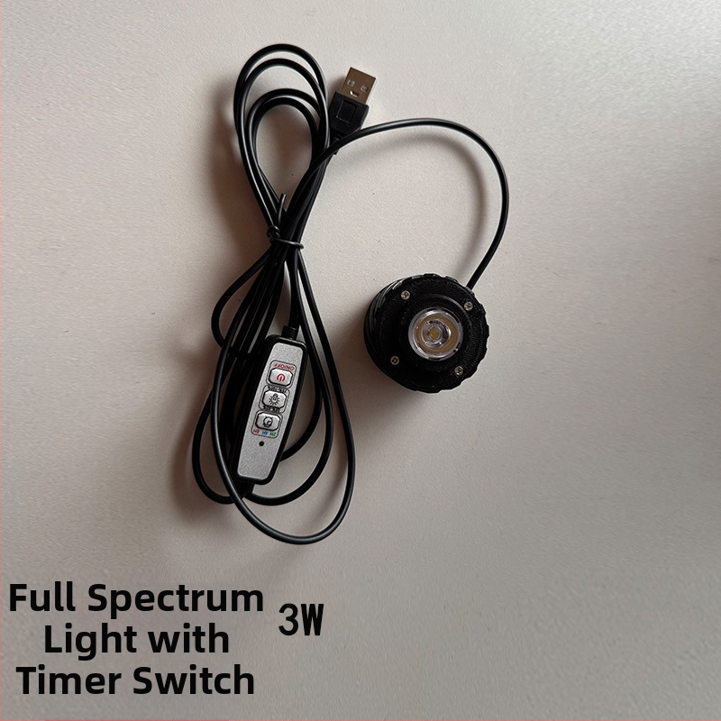 Augstas borosilikāta stikla ekoloģiska pudele mikro ainavai ar USB augu lampu – DIY materiāls