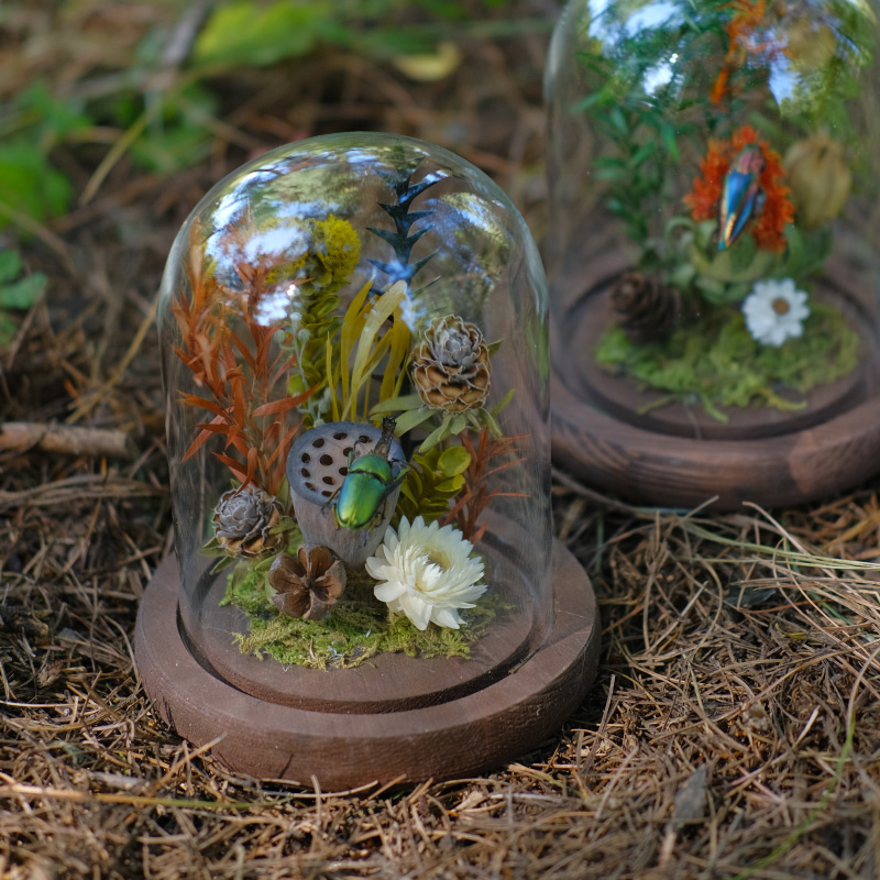 Butterfly bonsai uz stakleni kupol – izložba kukaca, mikro krajolik s osušenim cvijećem, konstrukcija od plastike i smole