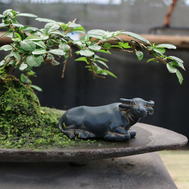 Mikro krajolik bonsai ukras s bivolom – pastoralna smolirana dekoracija s pastir na bivolu, za kućnu dekoraciju