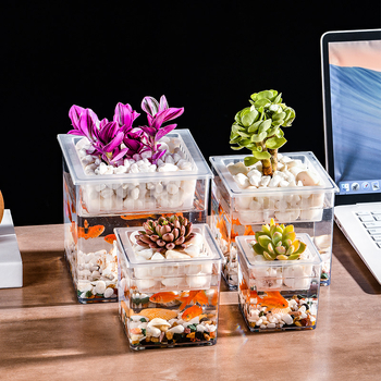 Beberi plastmasas mini kreatīvs puķu trauks mikro ainavai, sukulentu stādīšanai, biroja galda hidroponiskā vāze, 120 gab. kastē, individuāli iepakots PP maisiņā