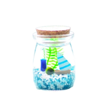 Borcan din sticlă cu micro peisaj pentru hidroponie DIY – ornament mini cadou