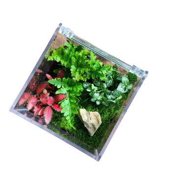 Комплект мъхов микро пейзаж – квадратна кутия, настолно растение, материал от копринени цветя, варианта tortoise shell, за сватби