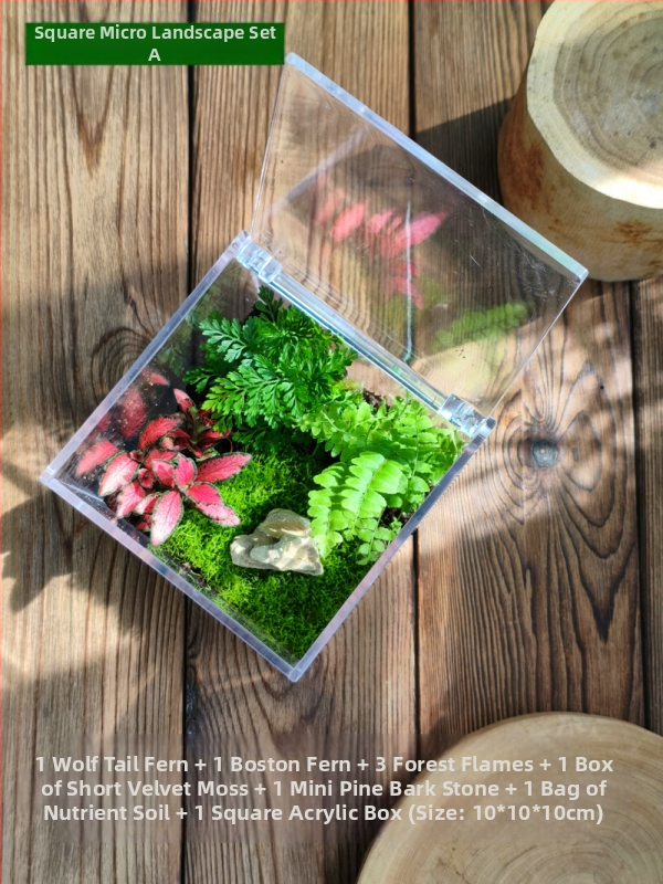 Комплект мъхов микро пейзаж – квадратна кутия, настолно растение, материал от копринени цветя, варианта tortoise shell, за сватби