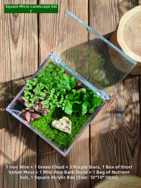 Комплект мъхов микро пейзаж – квадратна кутия, настолно растение, материал от копринени цветя, варианта tortoise shell, за сватби