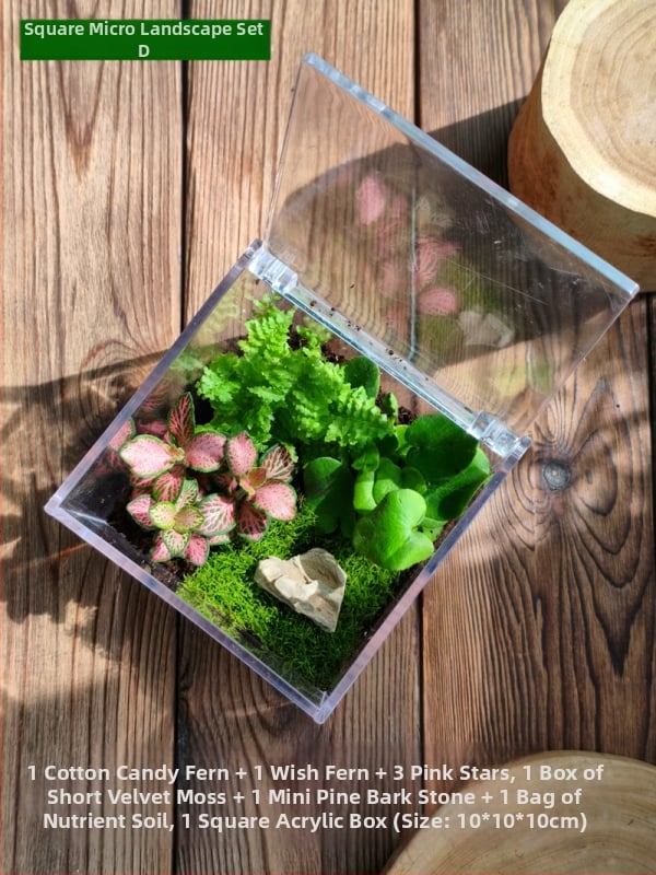 Комплект мъхов микро пейзаж – квадратна кутия, настолно растение, материал от копринени цветя, варианта tortoise shell, за сватби