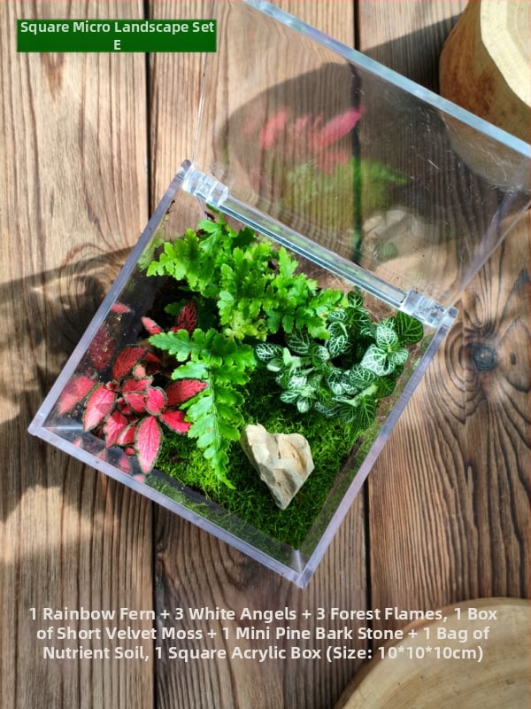 Комплект мъхов микро пейзаж – квадратна кутия, настолно растение, материал от копринени цветя, варианта tortoise shell, за сватби