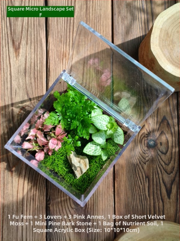 Комплект мъхов микро пейзаж – квадратна кутия, настолно растение, материал от копринени цветя, варианта tortoise shell, за сватби