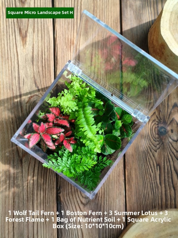 Комплект мъхов микро пейзаж – квадратна кутия, настолно растение, материал от копринени цветя, варианта tortoise shell, за сватби