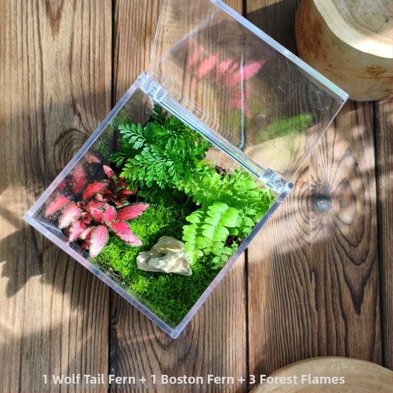 Комплект мъхов микро пейзаж – квадратна кутия, настолно растение, материал от копринени цветя, варианта tortoise shell, за сватби