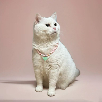 Dzīvnieku kaklarota kaķiem un suņiem - sirds kulons, rezīna pērlītes, elastīga, princeses stils, mīlestības raksts