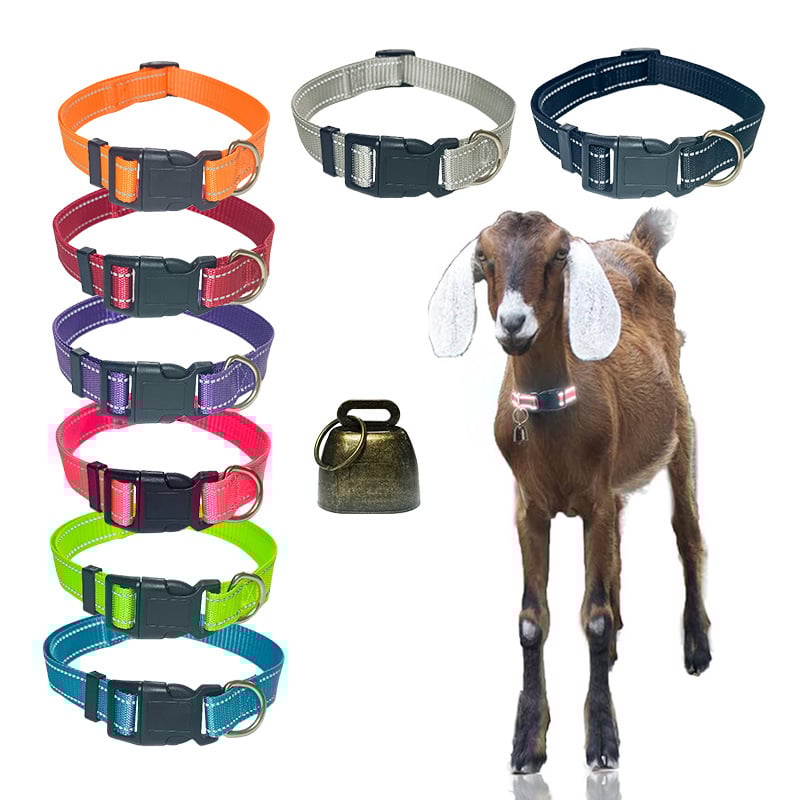 Ovratnik za kućne ljubimce s zvoncem – reflektirajući poliester, podesiv, univerzalni