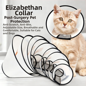 елизабетова яка за котки и кучета — защита от ухапване и облизване, след стерилизация