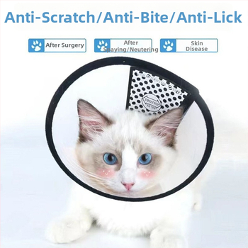 елизабетова яка за котки и кучета — защита от ухапване и облизване, след стерилизация