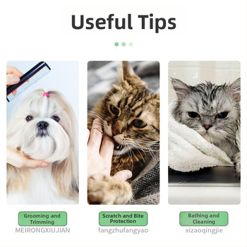 елизабетова яка за котки и кучета — защита от ухапване и облизване, след стерилизация