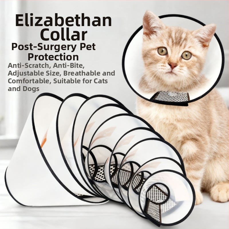 елизабетова яка за котки и кучета — защита от ухапване и облизване, след стерилизация