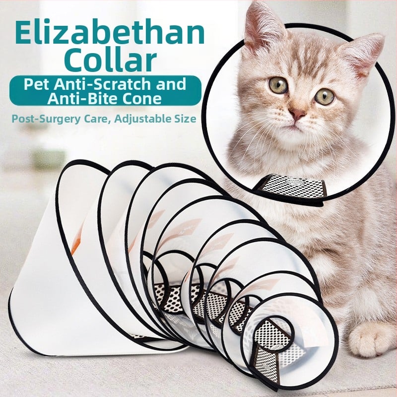 елизабетова яка за котки и кучета — защита от ухапване и облизване, след стерилизация