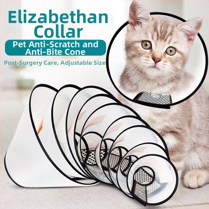 елизабетова яка за котки и кучета — защита от ухапване и облизване, след стерилизация
