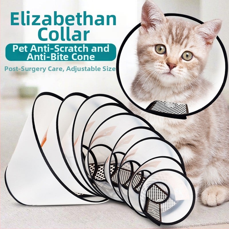 елизабетова яка за котки и кучета — защита от ухапване и облизване, след стерилизация