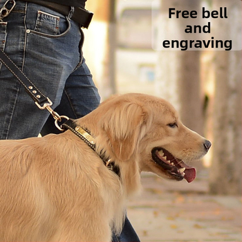 Κολάρο σκύλου – Δέρμα βοδιού, Πολυεπίπεδο σχέδιο, Δερμάτινο μενταγιόν (Μάρκα: Unique, Υλικό: Δέρμα βοδιού, Μενταγιόν: Δέρμα)