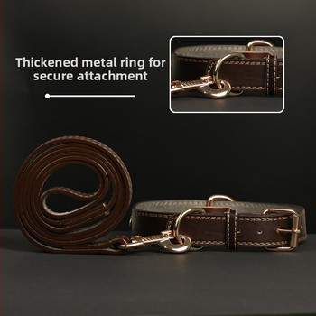 Κολάρο σκύλου – Δέρμα βοδιού, Πολυεπίπεδο σχέδιο, Δερμάτινο μενταγιόν (Μάρκα: Unique, Υλικό: Δέρμα βοδιού, Μενταγιόν: Δέρμα)