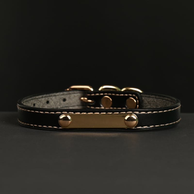 Κολάρο σκύλου – Δέρμα βοδιού, Πολυεπίπεδο σχέδιο, Δερμάτινο μενταγιόν (Μάρκα: Unique, Υλικό: Δέρμα βοδιού, Μενταγιόν: Δέρμα)