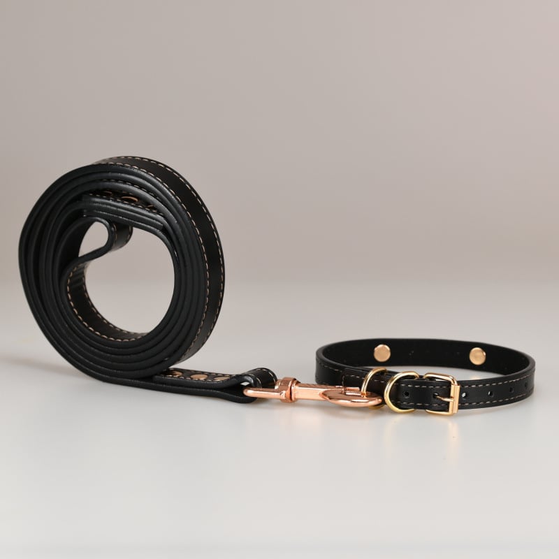 Κολάρο σκύλου – Δέρμα βοδιού, Πολυεπίπεδο σχέδιο, Δερμάτινο μενταγιόν (Μάρκα: Unique, Υλικό: Δέρμα βοδιού, Μενταγιόν: Δέρμα)