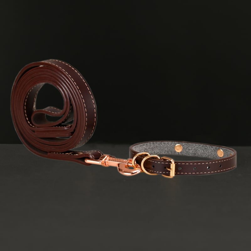 Κολάρο σκύλου – Δέρμα βοδιού, Πολυεπίπεδο σχέδιο, Δερμάτινο μενταγιόν (Μάρκα: Unique, Υλικό: Δέρμα βοδιού, Μενταγιόν: Δέρμα)