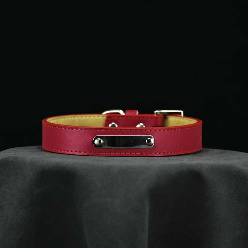 Κολάρο σκύλου – Δέρμα βοδιού, Πολυεπίπεδο σχέδιο, Δερμάτινο μενταγιόν (Μάρκα: Unique, Υλικό: Δέρμα βοδιού, Μενταγιόν: Δέρμα)